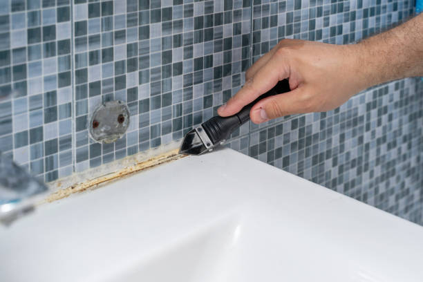 Best Mold Testing  in Incline Village, NV